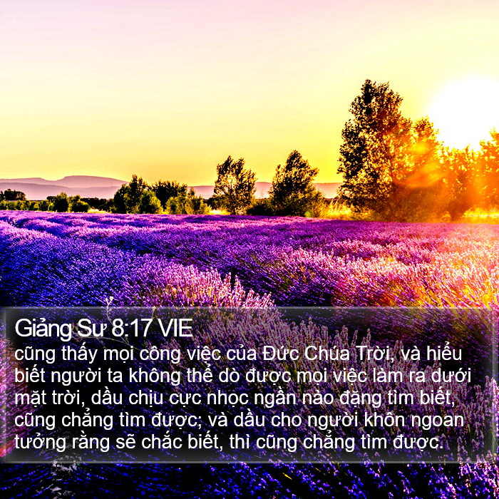 Giảng Sư 8:17 VIE Bible Study