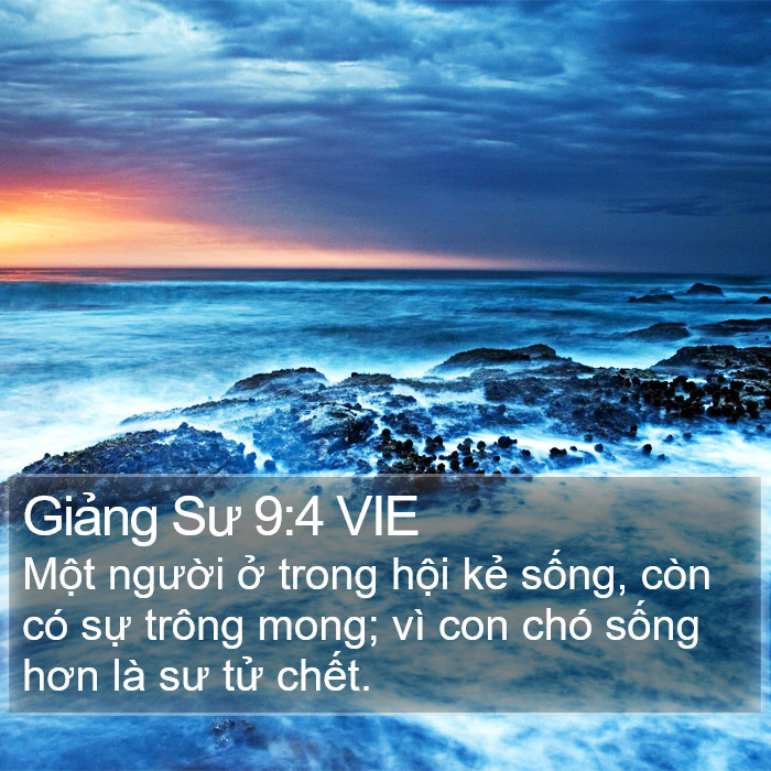 Giảng Sư 9:4 VIE Bible Study