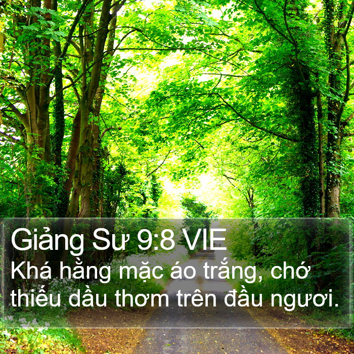 Giảng Sư 9:8 VIE Bible Study