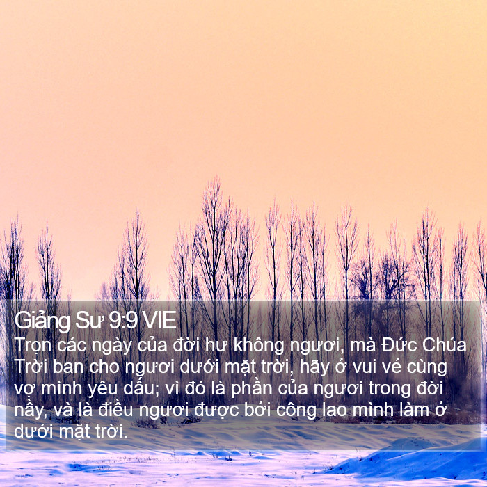 Giảng Sư 9:9 VIE Bible Study