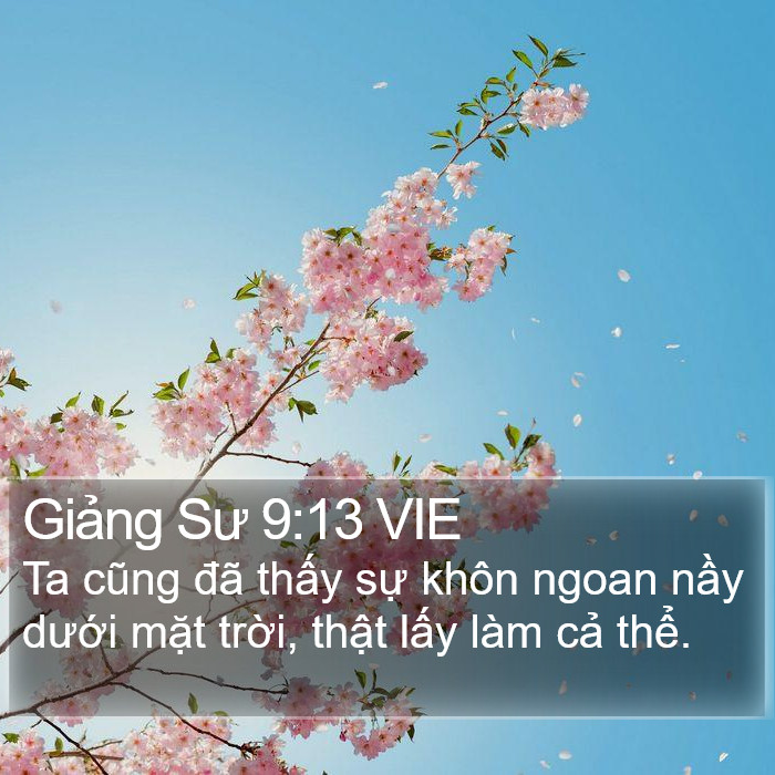 Giảng Sư 9:13 VIE Bible Study