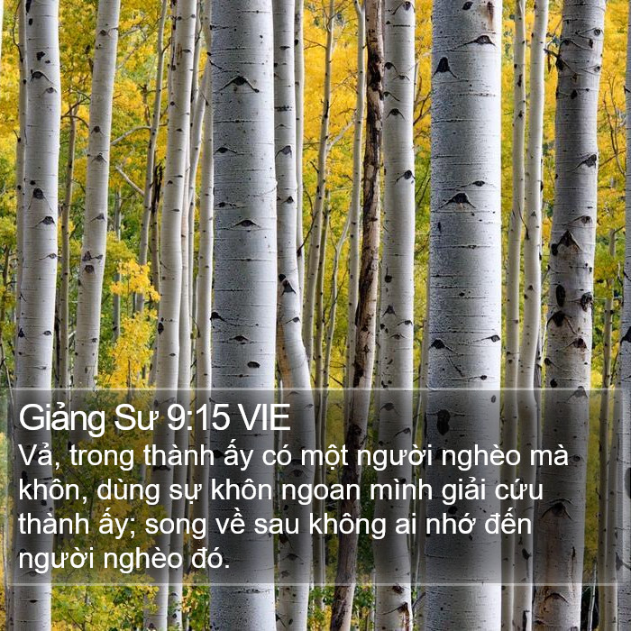 Giảng Sư 9:15 VIE Bible Study