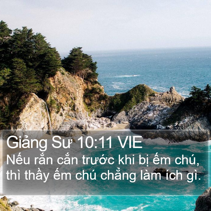 Giảng Sư 10:11 VIE Bible Study