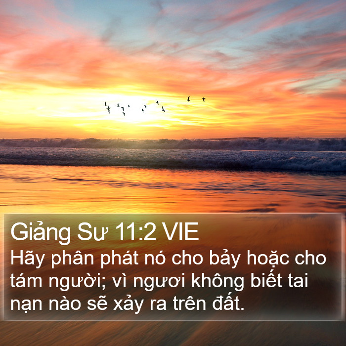 Giảng Sư 11:2 VIE Bible Study