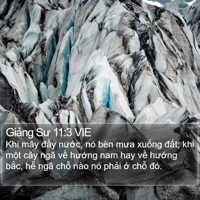 Giảng Sư 11:3 VIE Bible Study