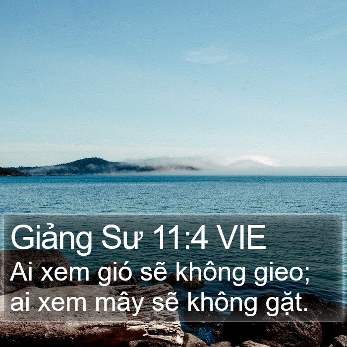 Giảng Sư 11:4 VIE Bible Study