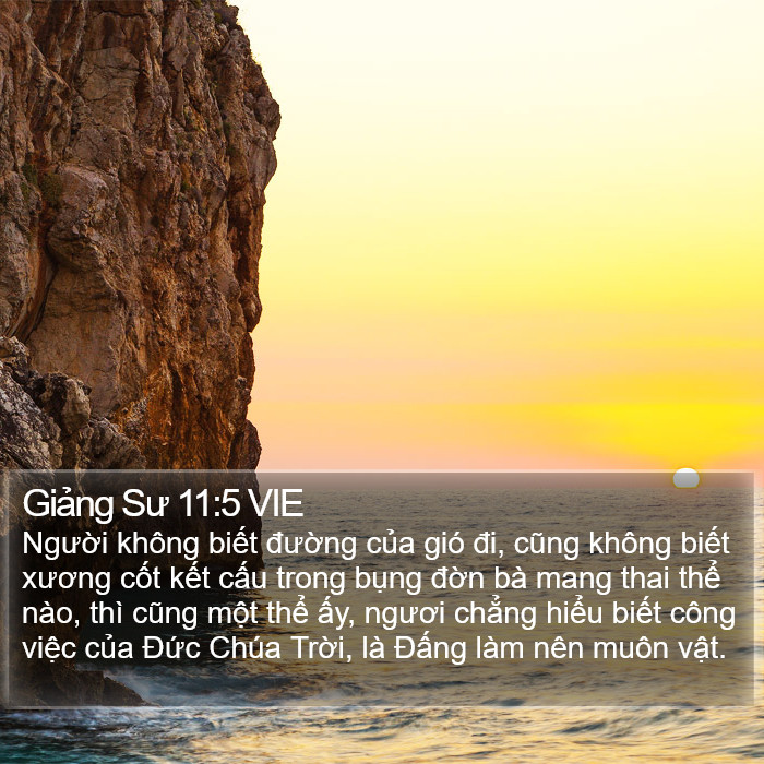 Giảng Sư 11:5 VIE Bible Study