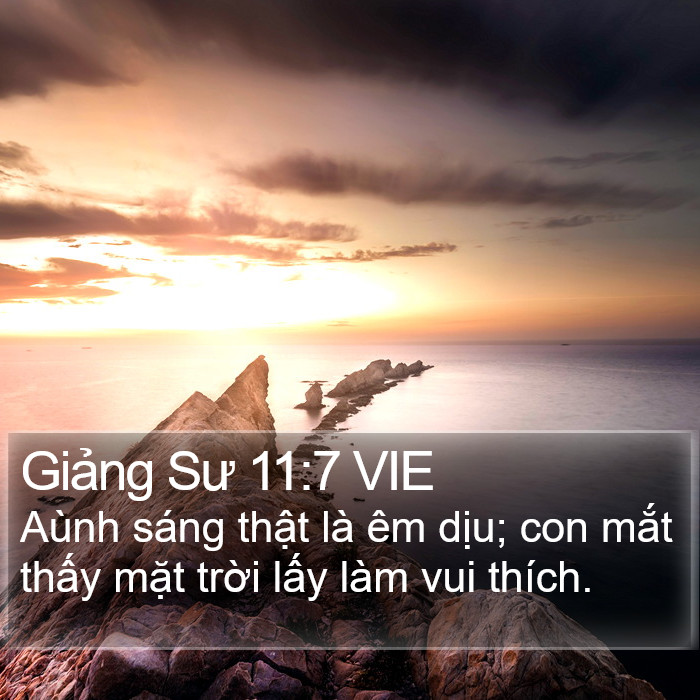 Giảng Sư 11:7 VIE Bible Study