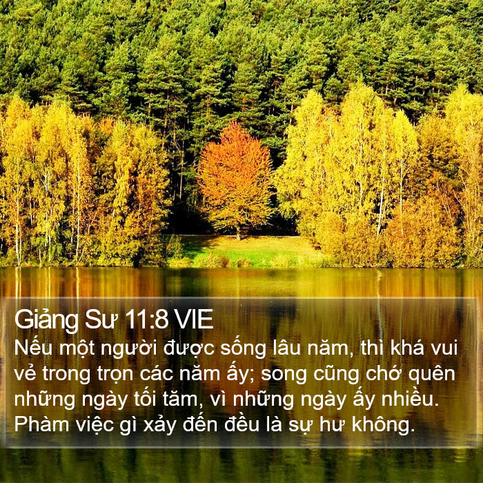 Giảng Sư 11:8 VIE Bible Study