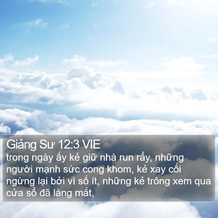 Giảng Sư 12:3 VIE Bible Study