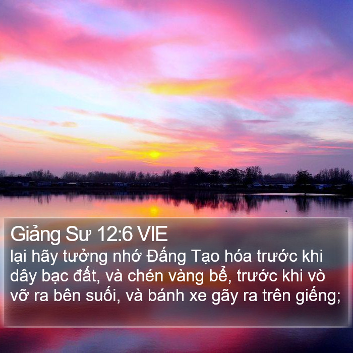 Giảng Sư 12:6 VIE Bible Study