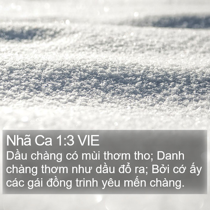 Nhã Ca 1:3 VIE Bible Study