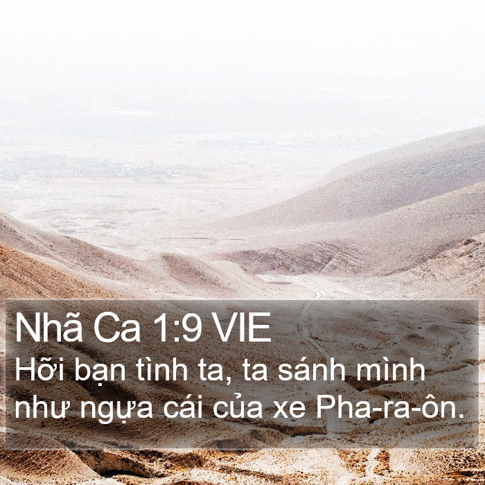 Nhã Ca 1:9 VIE Bible Study