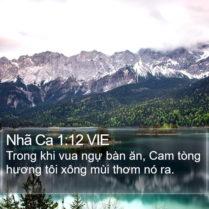 Nhã Ca 1:12 VIE Bible Study