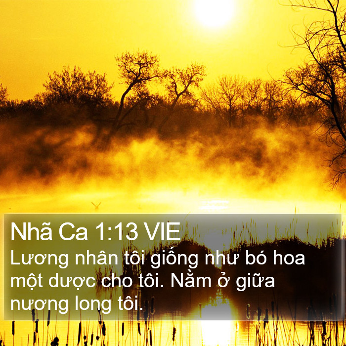 Nhã Ca 1:13 VIE Bible Study