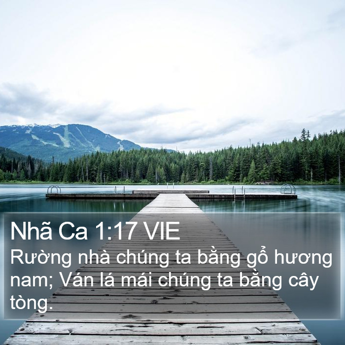 Nhã Ca 1:17 VIE Bible Study