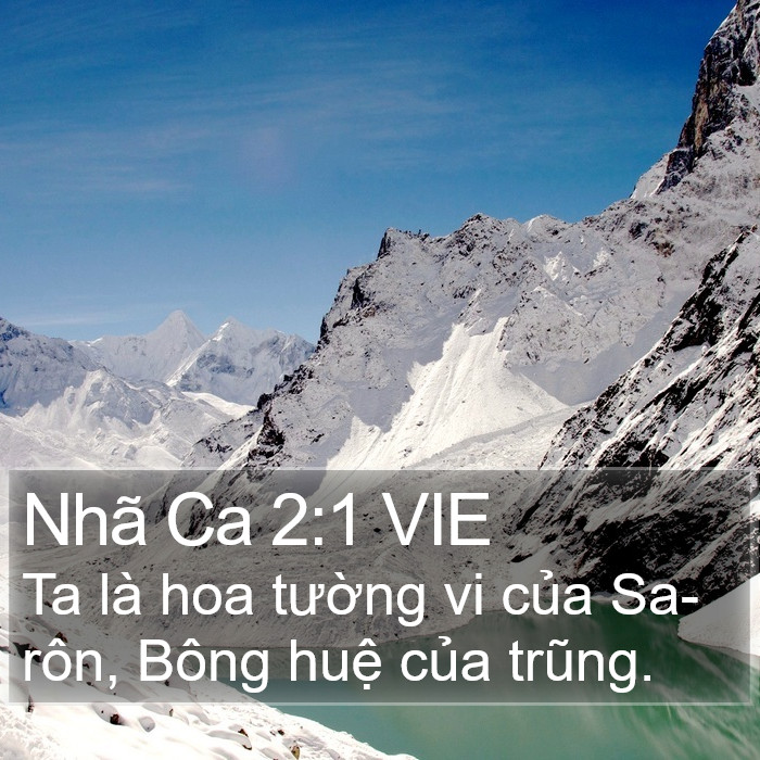 Nhã Ca 2:1 VIE Bible Study