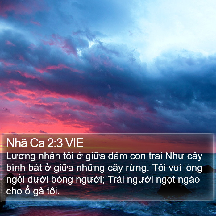 Nhã Ca 2:3 VIE Bible Study