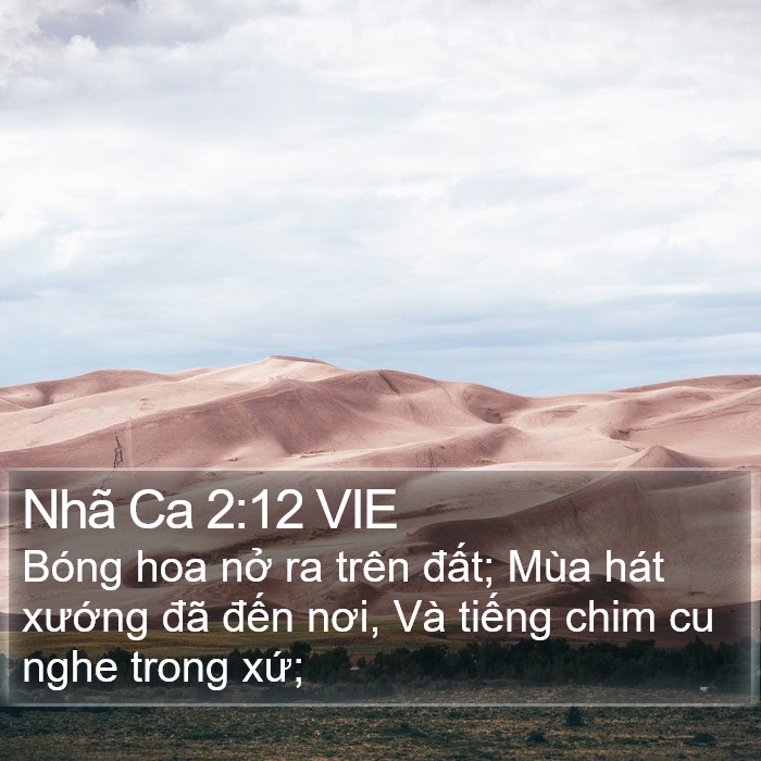 Nhã Ca 2:12 VIE Bible Study