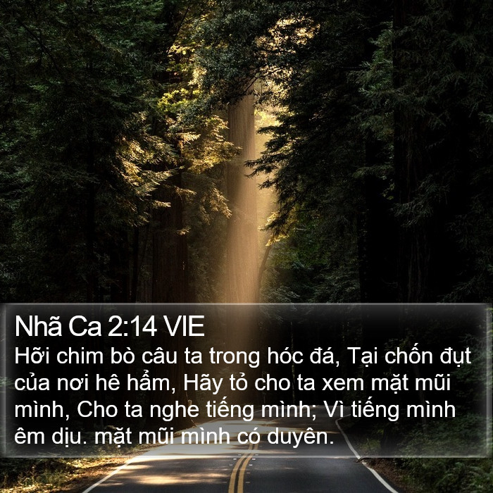 Nhã Ca 2:14 VIE Bible Study