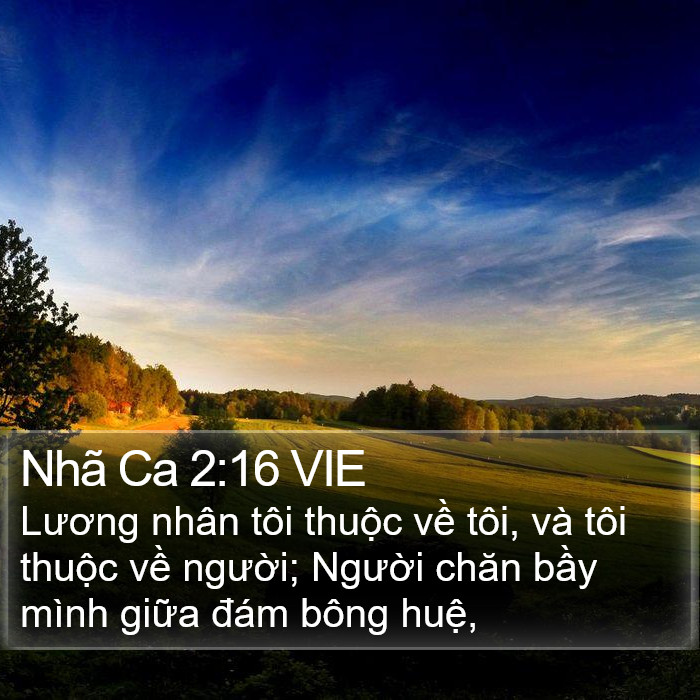 Nhã Ca 2:16 VIE Bible Study