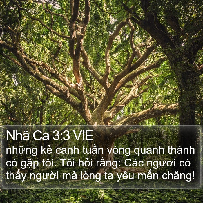 Nhã Ca 3:3 VIE Bible Study