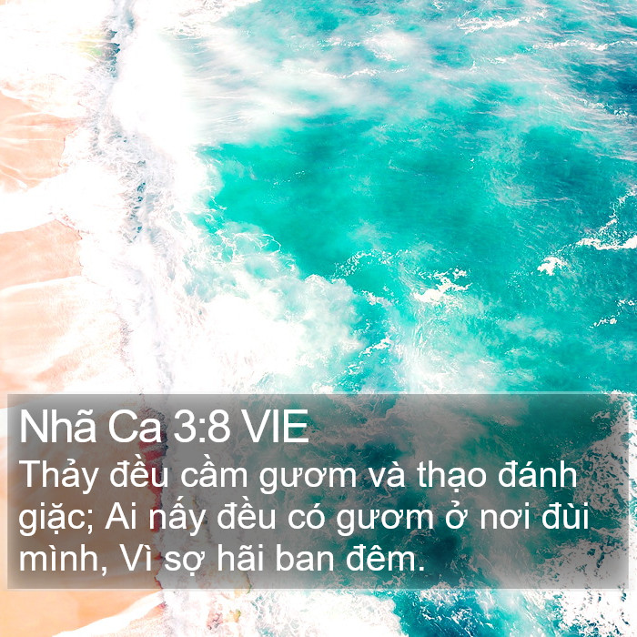 Nhã Ca 3:8 VIE Bible Study