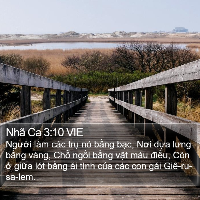 Nhã Ca 3:10 VIE Bible Study