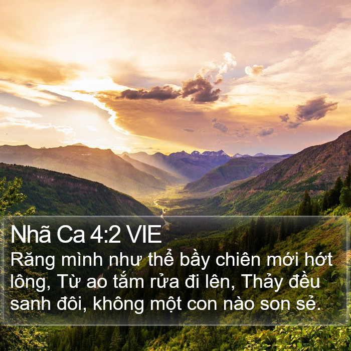 Nhã Ca 4:2 VIE Bible Study