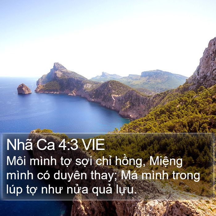 Nhã Ca 4:3 VIE Bible Study