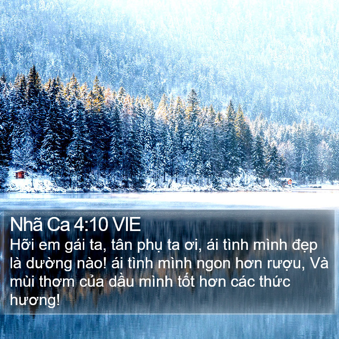 Nhã Ca 4:10 VIE Bible Study