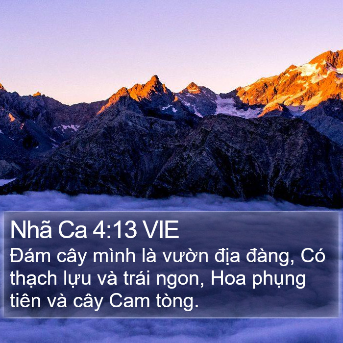 Nhã Ca 4:13 VIE Bible Study