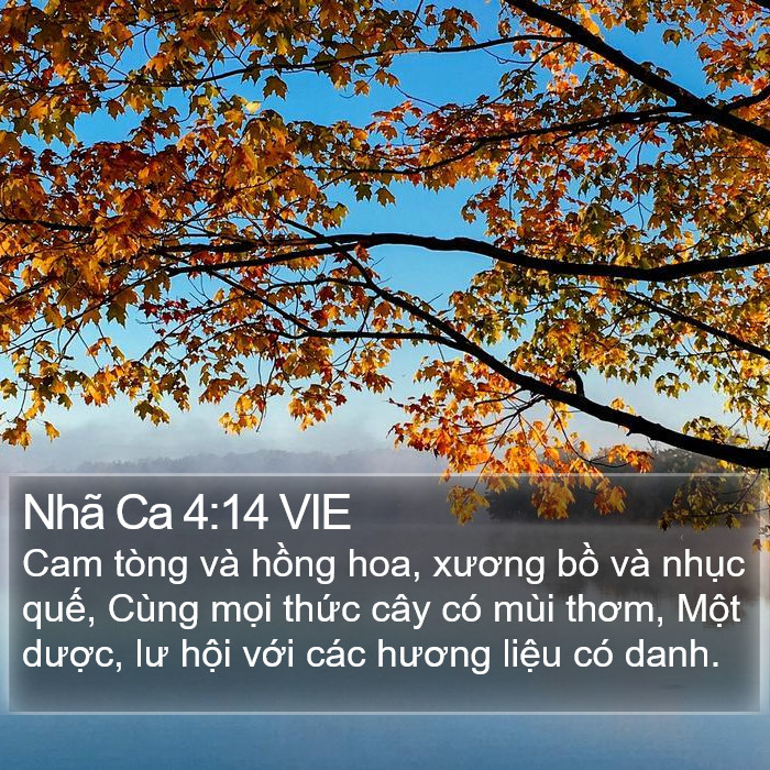 Nhã Ca 4:14 VIE Bible Study