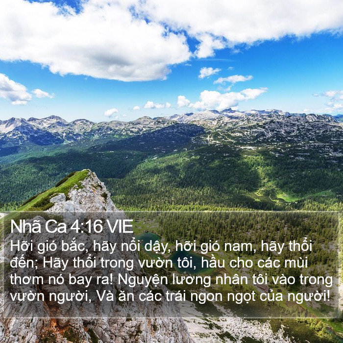 Nhã Ca 4:16 VIE Bible Study