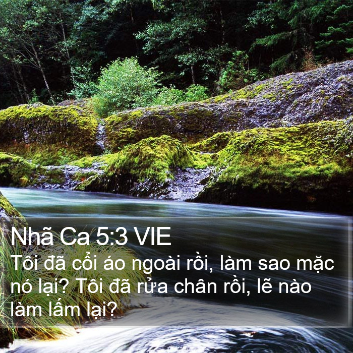 Nhã Ca 5:3 VIE Bible Study