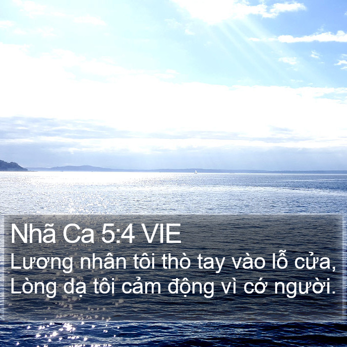 Nhã Ca 5:4 VIE Bible Study