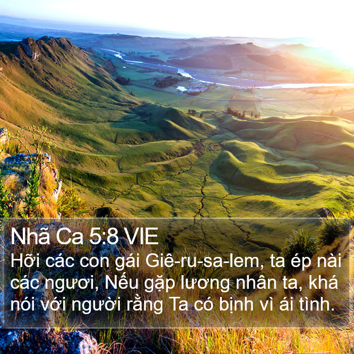 Nhã Ca 5:8 VIE Bible Study