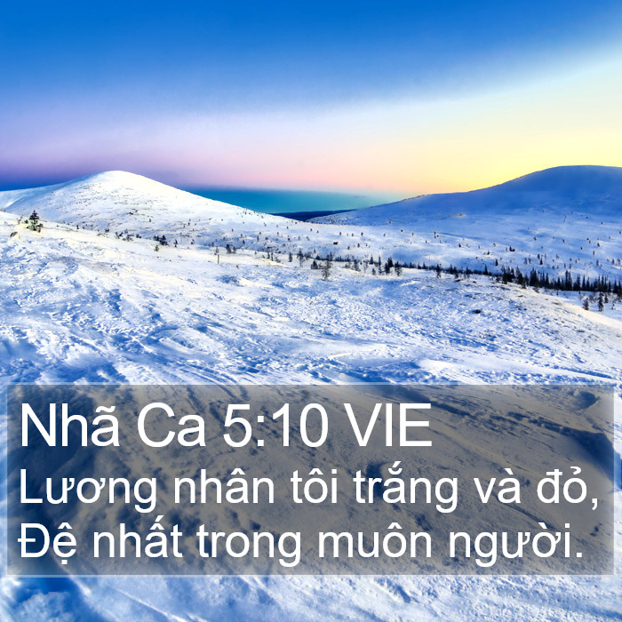 Nhã Ca 5:10 VIE Bible Study