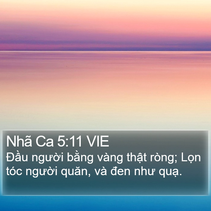 Nhã Ca 5:11 VIE Bible Study