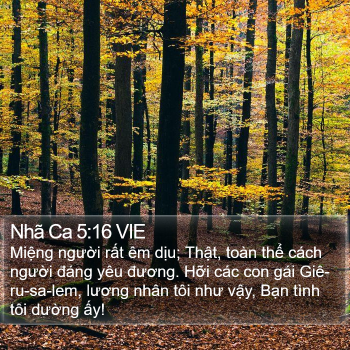 Nhã Ca 5:16 VIE Bible Study