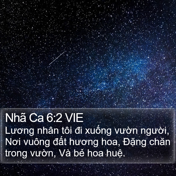 Nhã Ca 6:2 VIE Bible Study