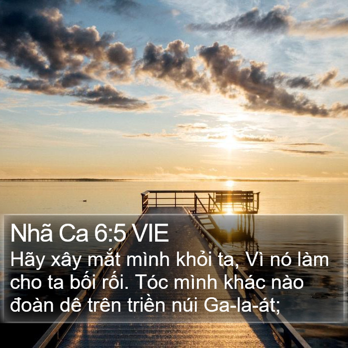 Nhã Ca 6:5 VIE Bible Study