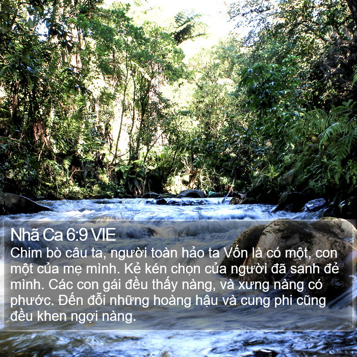 Nhã Ca 6:9 VIE Bible Study