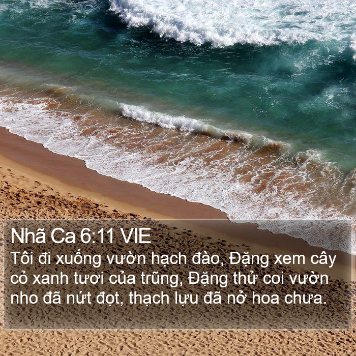 Nhã Ca 6:11 VIE Bible Study