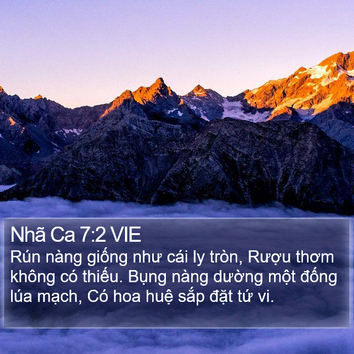 Nhã Ca 7:2 VIE Bible Study