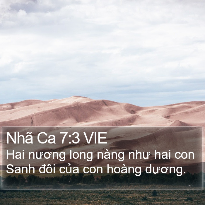 Nhã Ca 7:3 VIE Bible Study