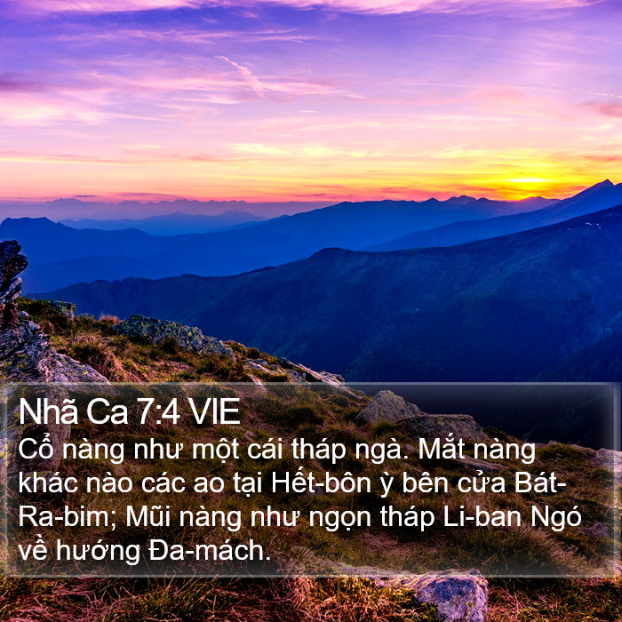 Nhã Ca 7:4 VIE Bible Study