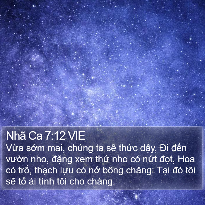 Nhã Ca 7:12 VIE Bible Study