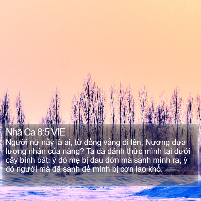 Nhã Ca 8:5 VIE Bible Study