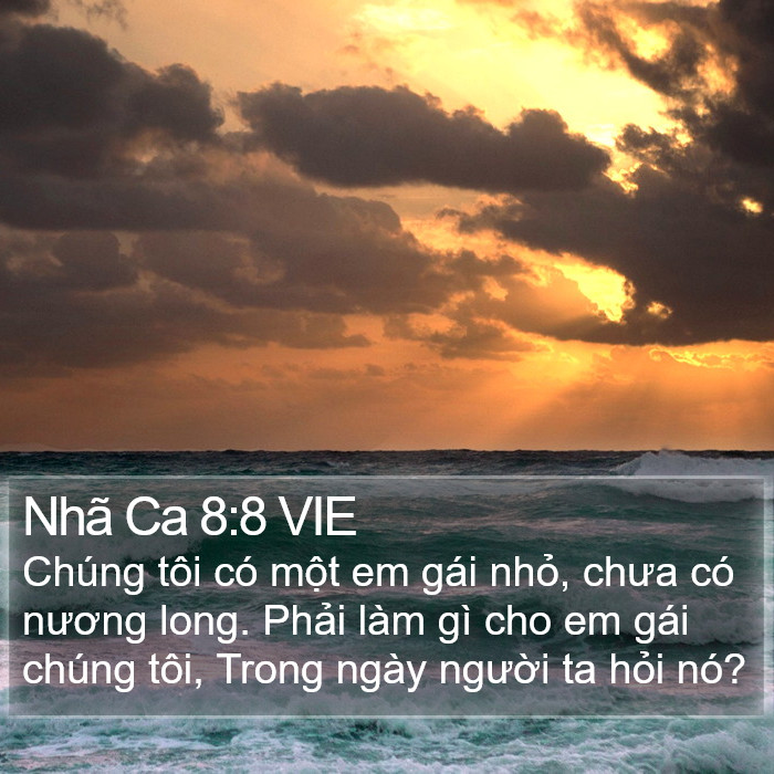 Nhã Ca 8:8 VIE Bible Study